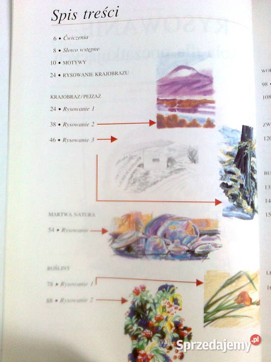 NOAMI LYONSRYSOWANIE SZKOŁA POCZĄTKUJĄCYCH twarda Warszawa sprzedam