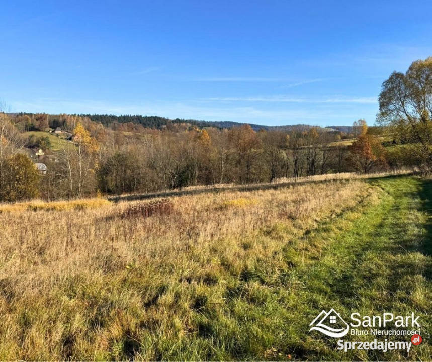 Działka Bezmiechowa Dolna 5000m2