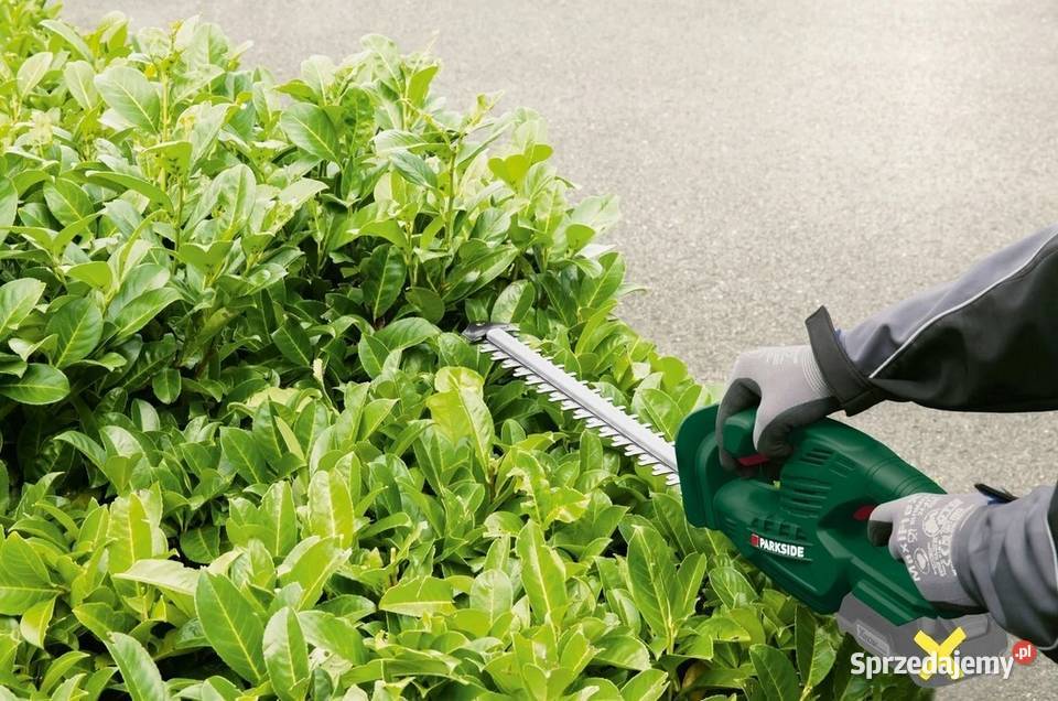Akumulatorowe nożyce do żywopłotu Parkside 20 V Pozostałe Kędzierzyn-Koźle sprzedam