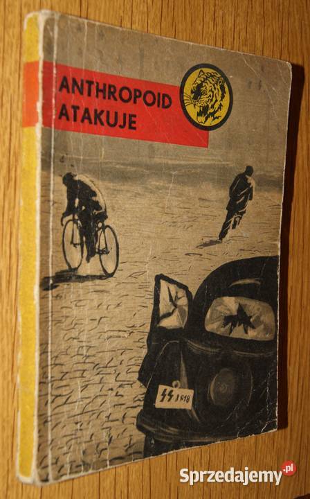 Żółty Tygrys Anthropoid atakuje 1959 Parczew