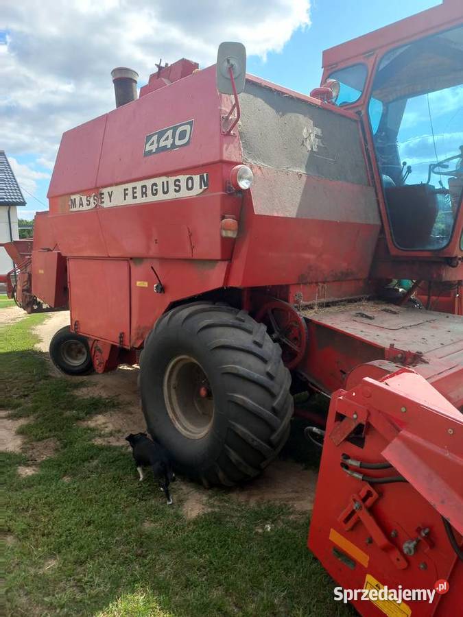 Sprzedam kombajn zbożowy Massey Ferguson 440 3m mazowieckie Mława sprzedam