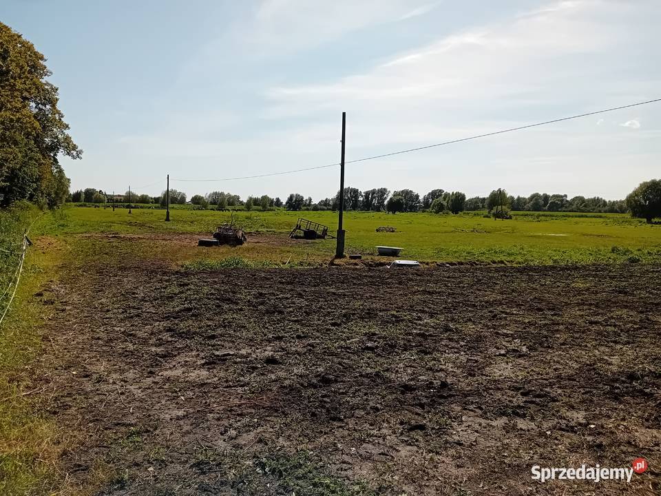 Syndyk sprzeda udziały w grunatach Żurawiec 161700m2 Jurandowo
