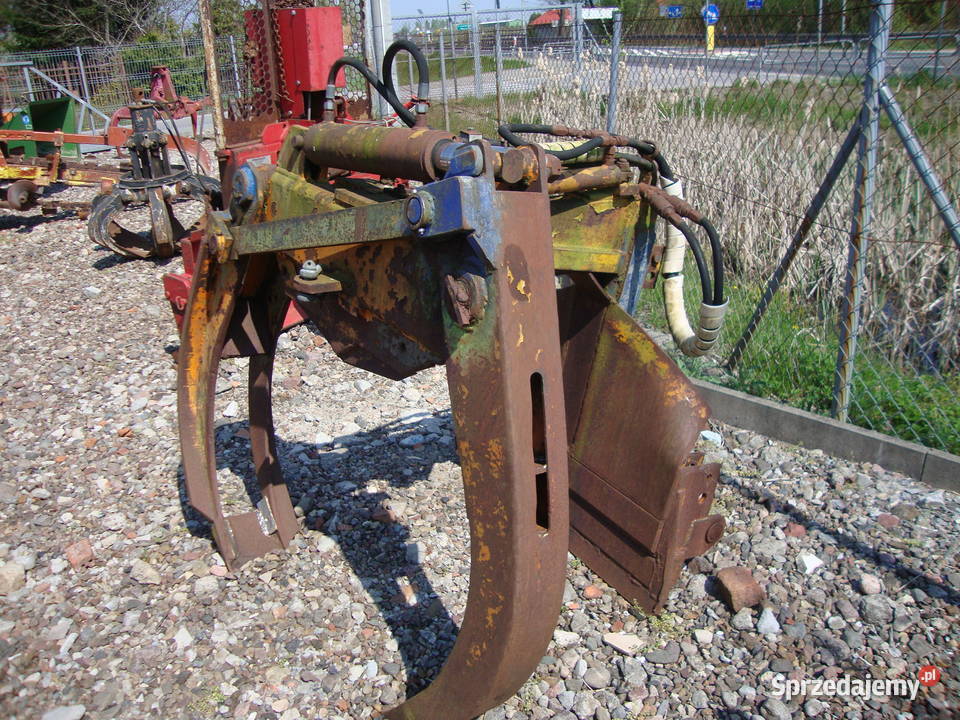 kleszcze zrywkowe Czaplinek