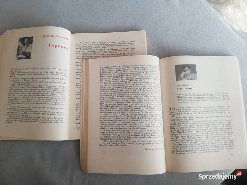 Literatura Radziecka 1967 Wronki