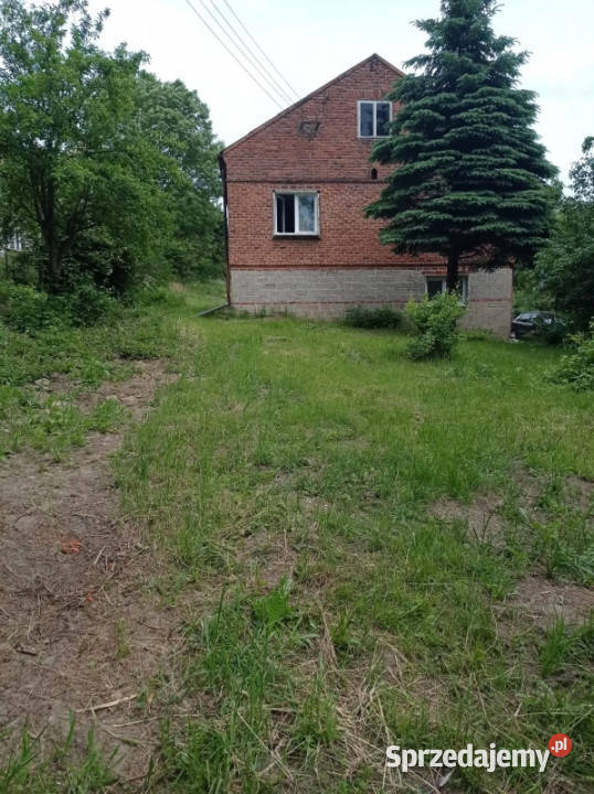 Działka w Trzcianie 100m2 podkarpackie