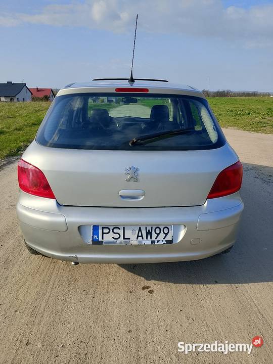 Peugeot 307 20 HDi Turek