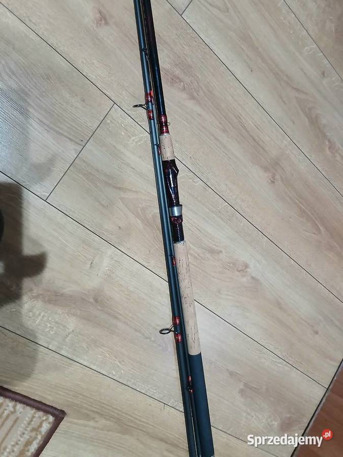 Wędka fedeer Bałtów