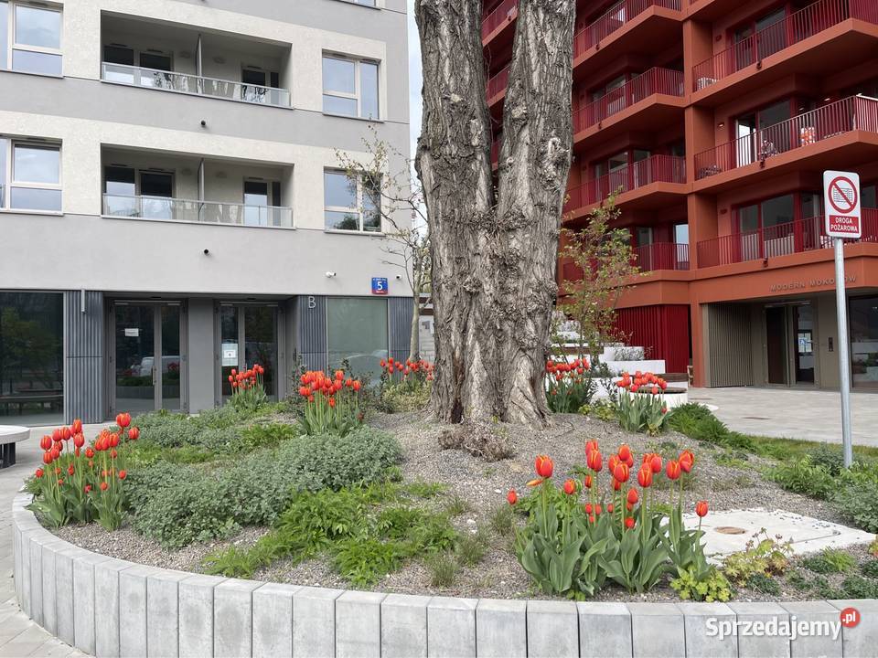 Do wynajęcia apartment for rent Woloska Galeria Nieruchomości Warszawa