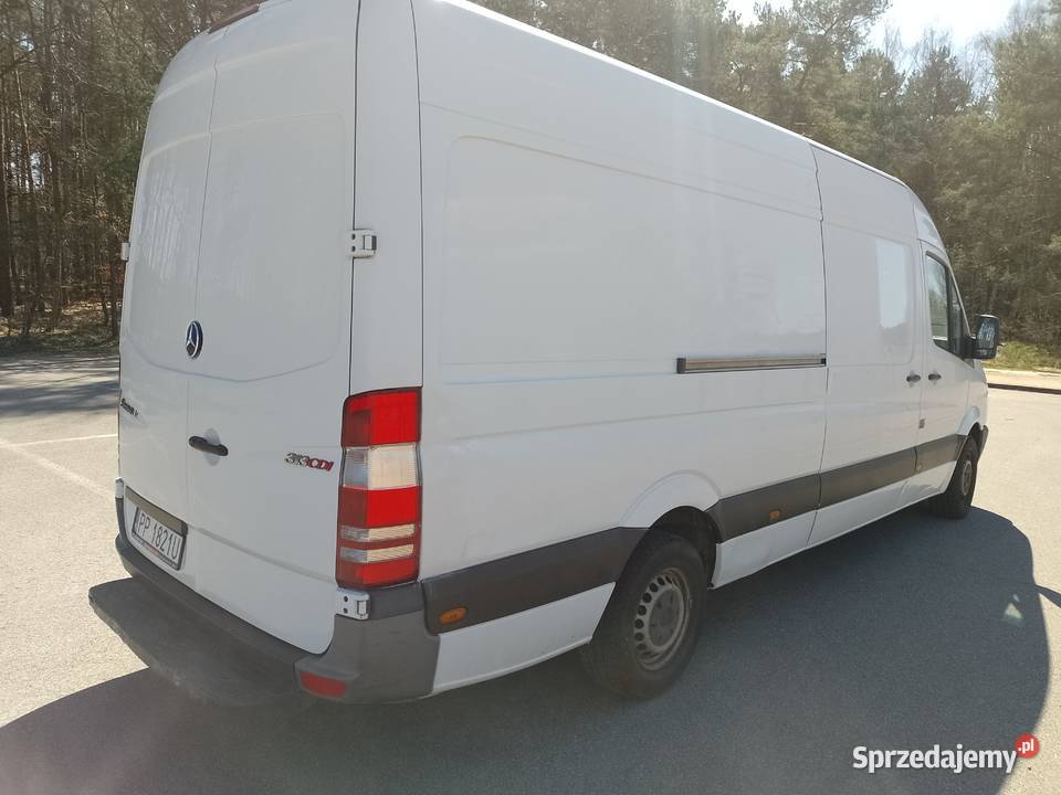 Sprinter 313 Chodzież