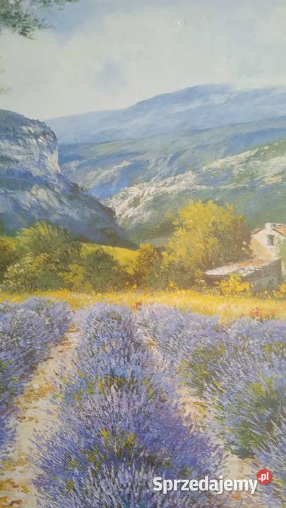 PROWANSALSKI PEJZAŻ Z LAWENDĄ obraz Piła