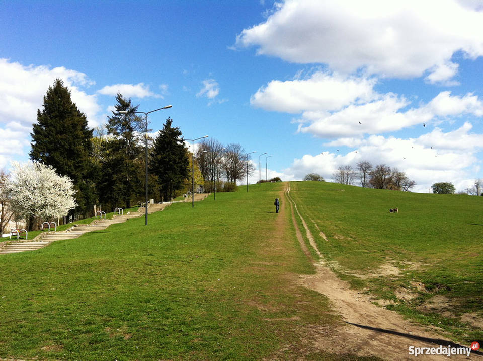 Warszawa Koło parku sprzedam