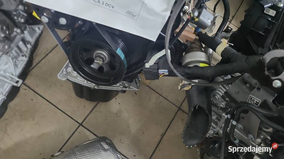 Silnik Ford Transit Kto Naprawia Fordy Transity Radom