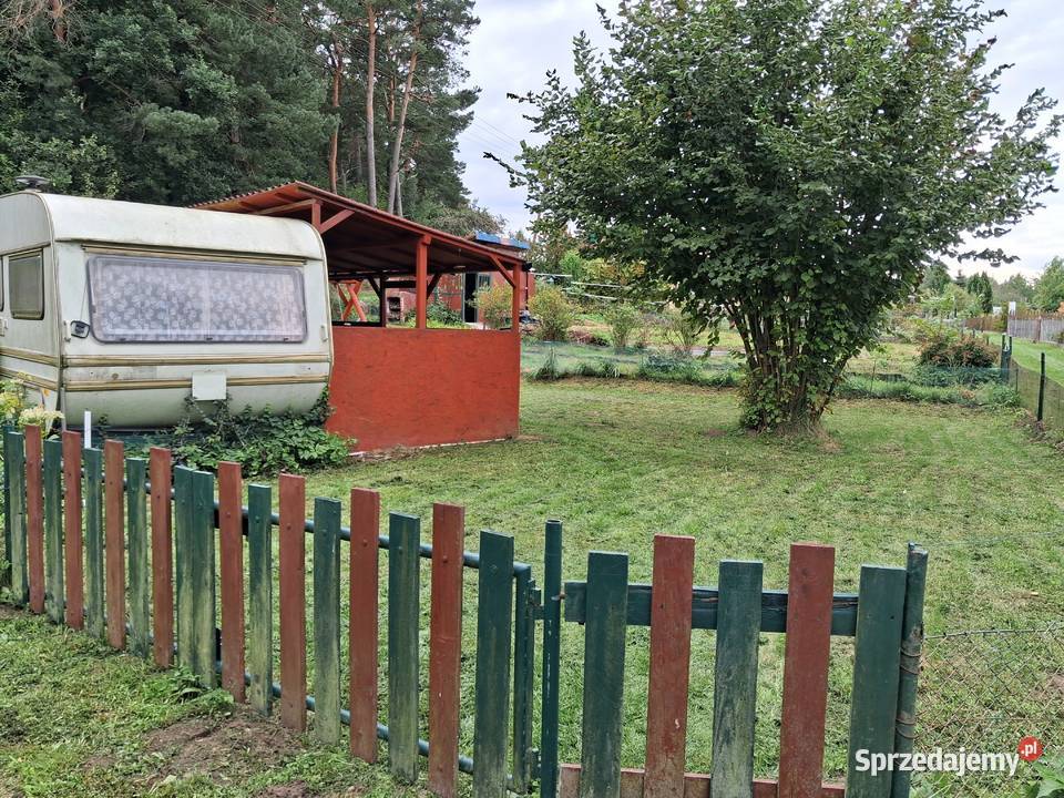 Sprzedamogródek działkowy ROD w Koszalinie Koszalin sprzedam