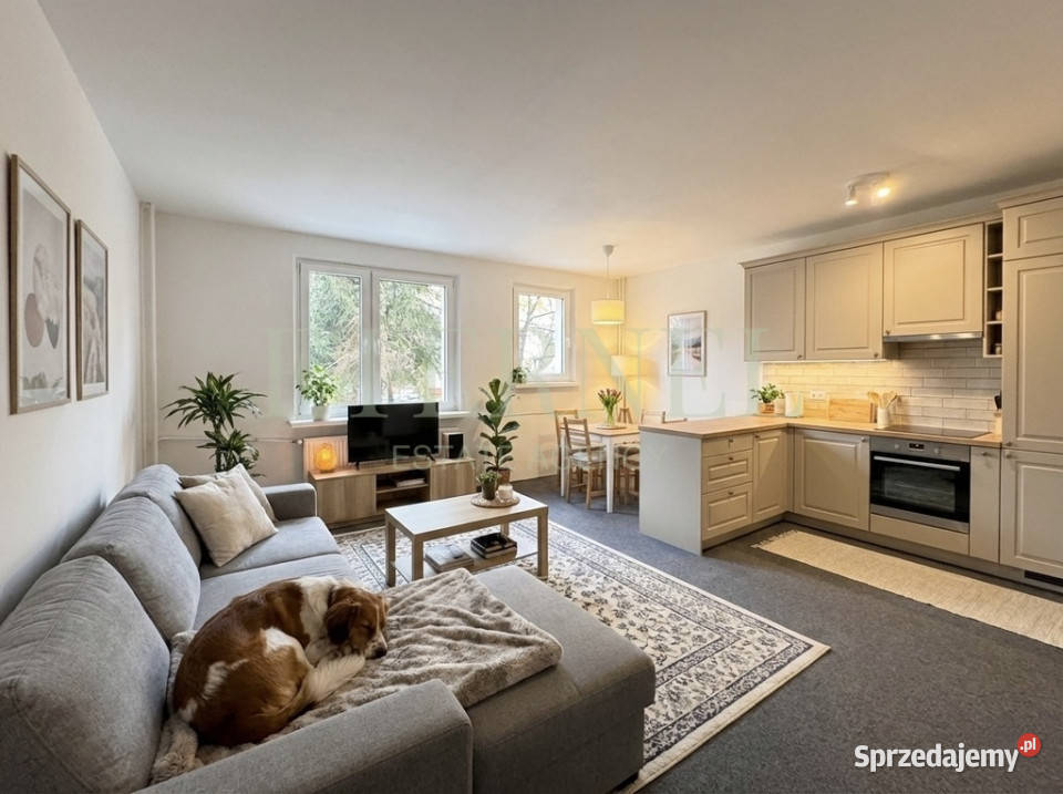 Mieszkanie 3pokojowe 51 m z loggią i piwnicą Sprzedaż Kraków sprzedam