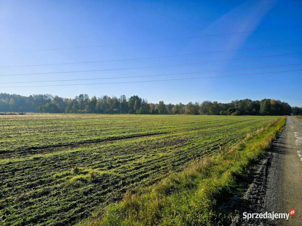 Działki budowlane Serock 15 jeziora Firlej Sprzedaż