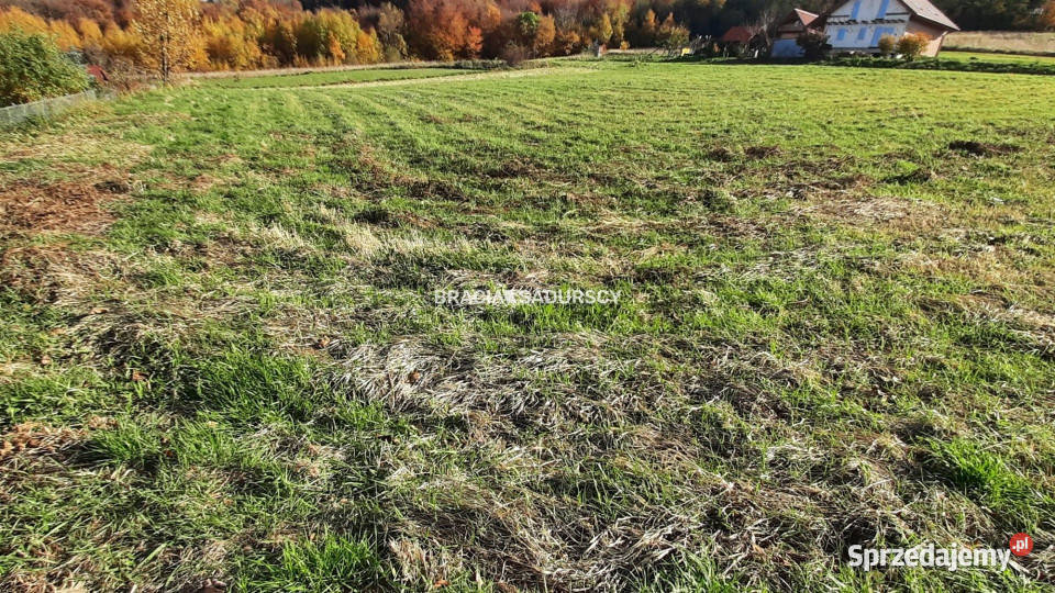 sprzedaży działki 7000m2 Komorniki sprzedam
