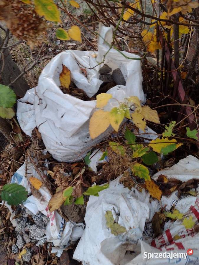 Oddam gruz drobny
Odbiór osobisty mazowieckie Międzyborów