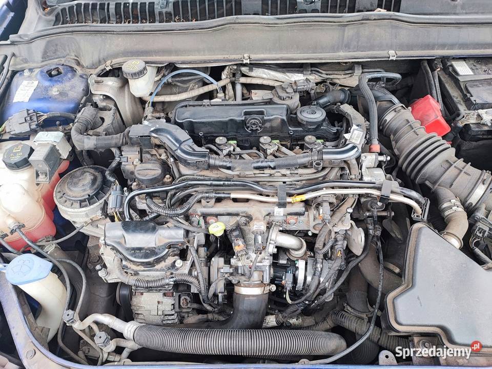 Silnik KOMPLETNY EHZ DW10FC Peugeto Citroen wielkopolskie Śmigiel