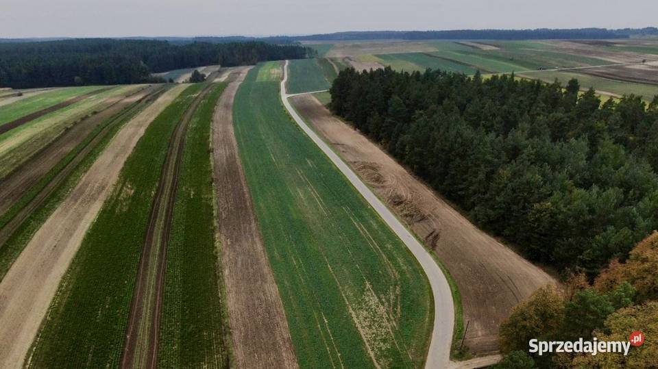 Agroturystykastadnina koni 561 ha z lasem