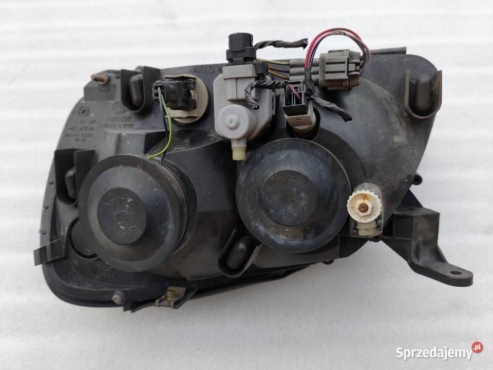 Lampa Prawy Przód Przednia Prawa Nissan Almera Lampy przednie