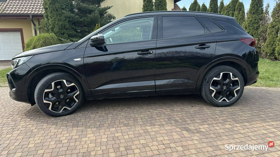 Opel Grandland Przasnysz