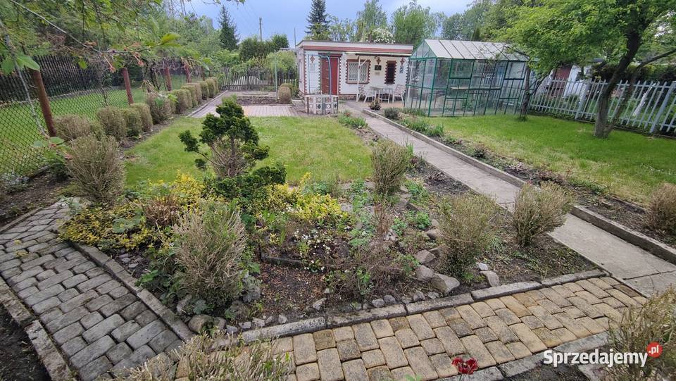 Ogródek działkowy PZD ROD Stokrotka Nowy Bytom 250m2 Ruda Śląska sprzedam