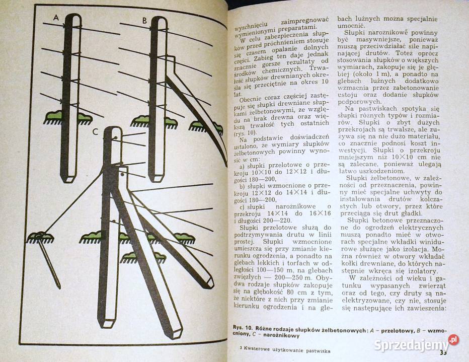 Kwaterowe użytkowanie pastwiska Zygmunt miękka Pozostałe Kultura i Rozrywka Chełm