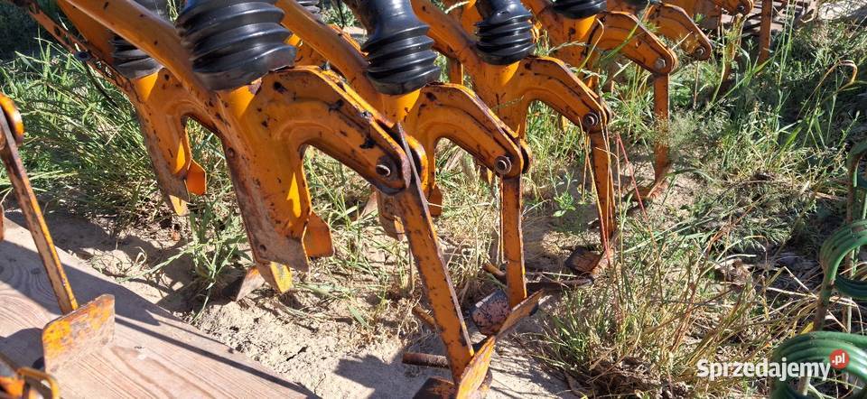 Amazone d7 Special 3m świętokrzyskie Kolonia Pęcławska