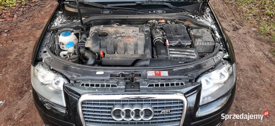 Audi A3 8P TDI 20 140 2008 ALU SLINE Full Długie lubelskie Nałęczów sprzedam