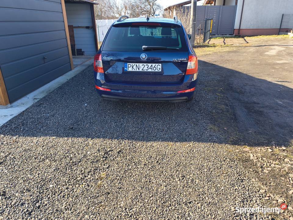 Sprzed wielkopolskie