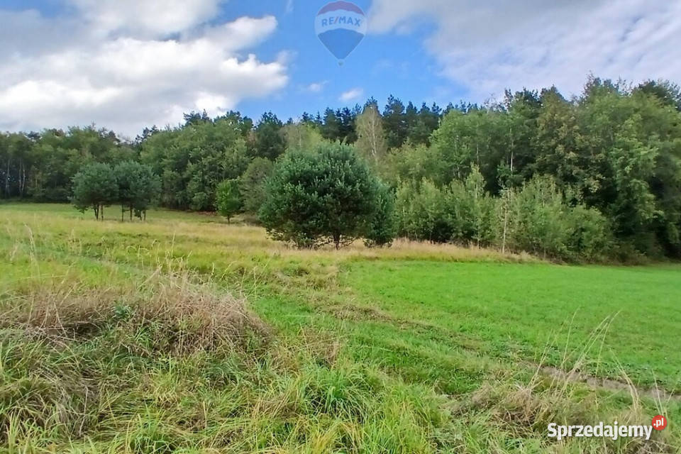 Działka 2100mwydana WZ Stara Wieś