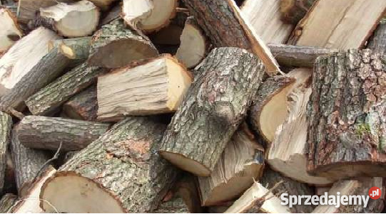 OkazjaSprzedam drzewo opałowe kominkowe owocowe Biznes i Przemysł sprzedam