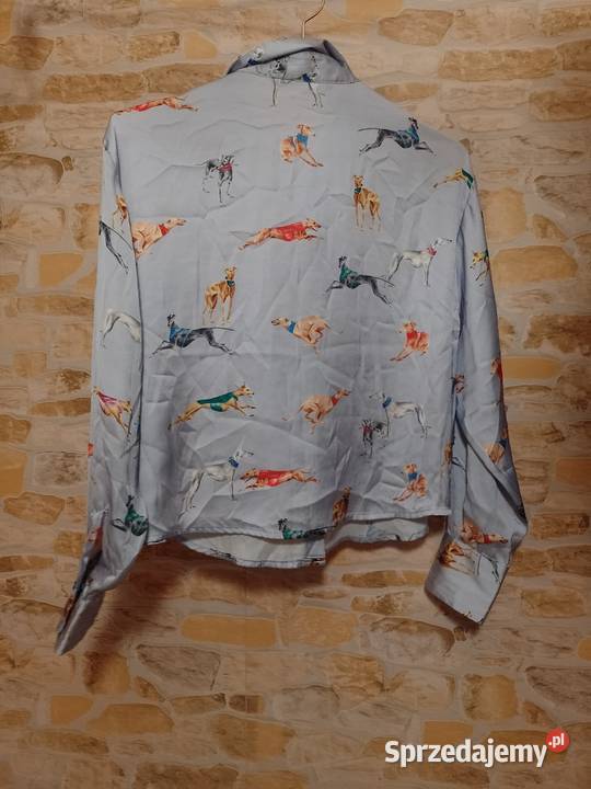34XS ZARA Ekskluzywna koszula bluzka w psy z Kraków sprzedam