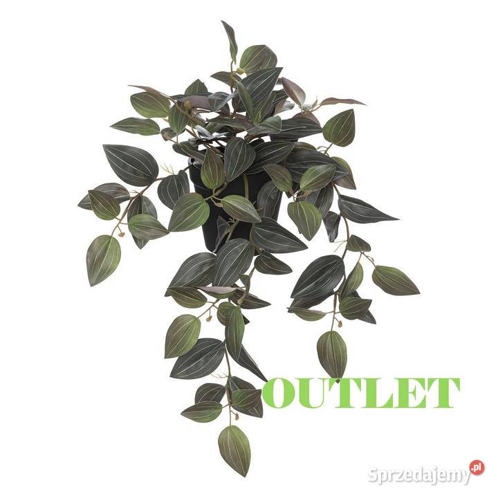 Sztuczny kwiat trzykrotka roślina wisząca w Warszawa