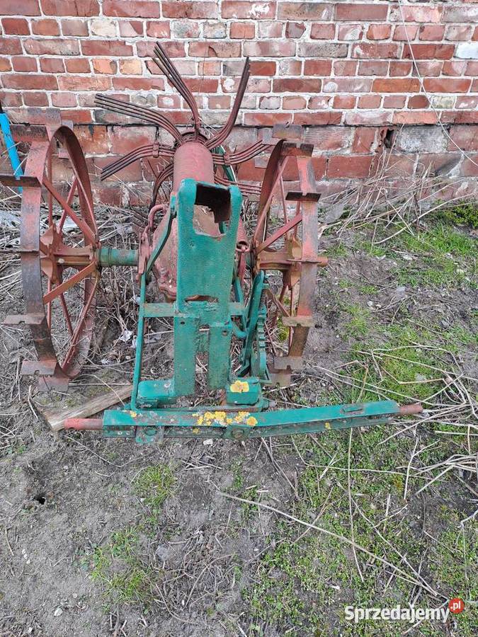 Kopaczka konna sprawna Piękna ozdobą do ogrodu łódzkie Rusiec sprzedam