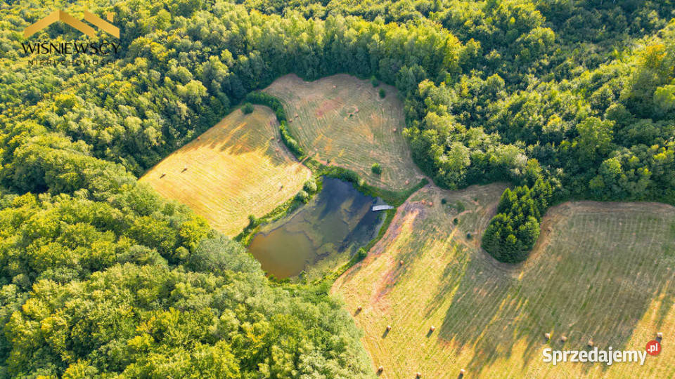 Działka 1291 m z WZ wśród natury Rogowo warmińsko-mazurskie