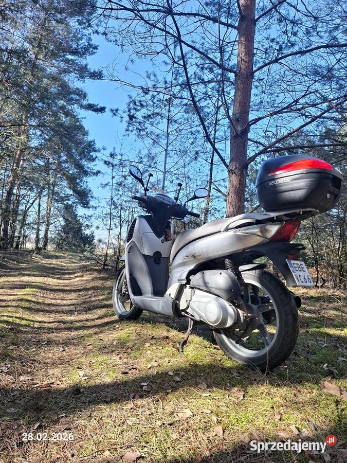 Honda Sh125 Super Niezawodna i ekonomiczna łódzkie Kuźnica