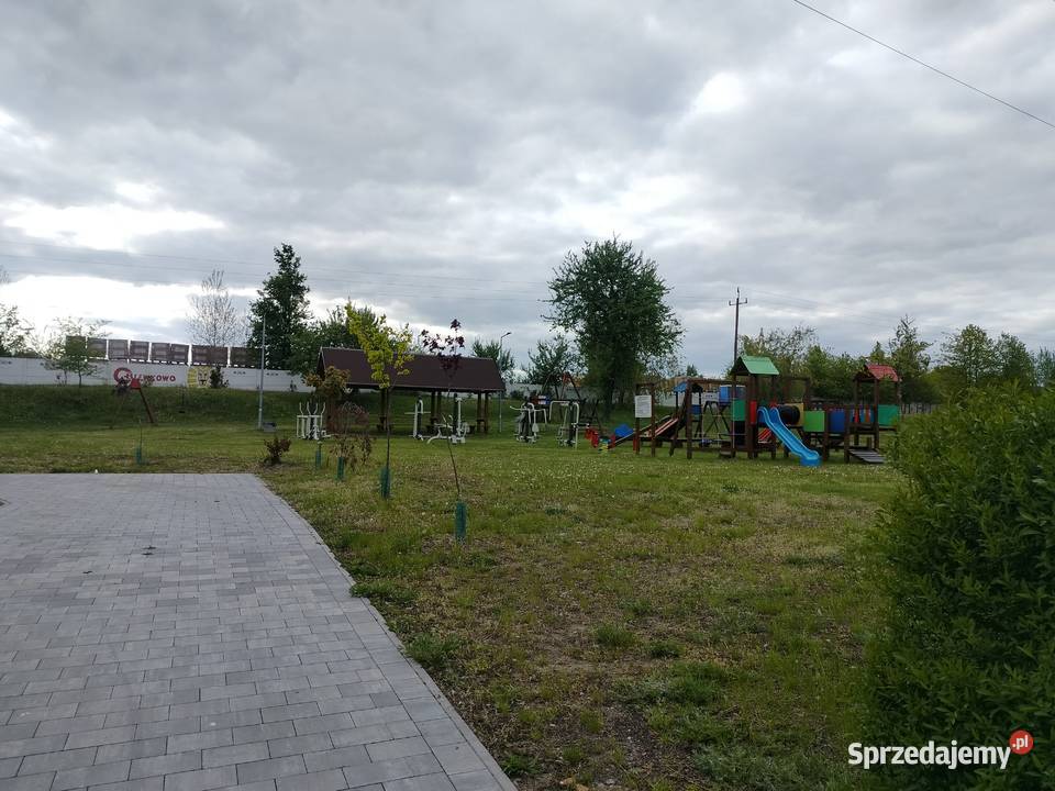Działka 5000 m warunki zabudowy na halę kontener Lewkowo Nowe sprzedam