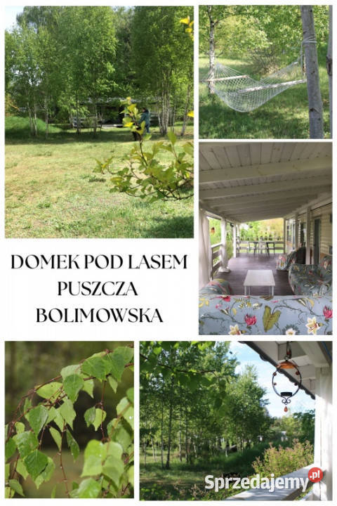 Na sprzedaż działka budowlana Grabina Radziwiłłowska