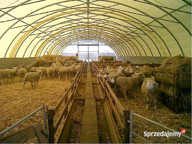 Wiata Hala na sprzet Magazyn Zadaszenie agrotune