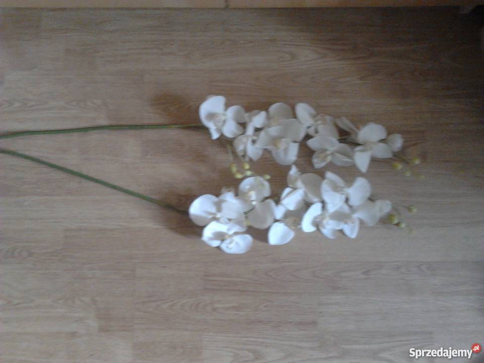 IKEA SMYCKA Sztuczny kwiat Orchidea biały Kraków