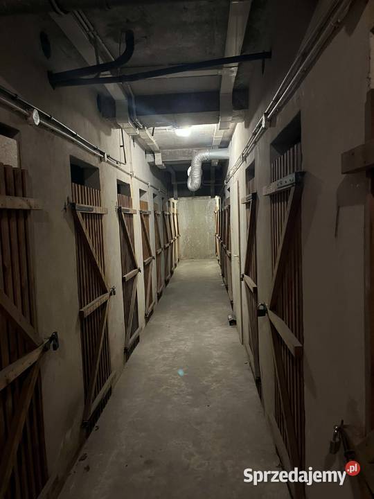 wynajmę piwnicę komórkę lokatorską Wynajem Warszawa