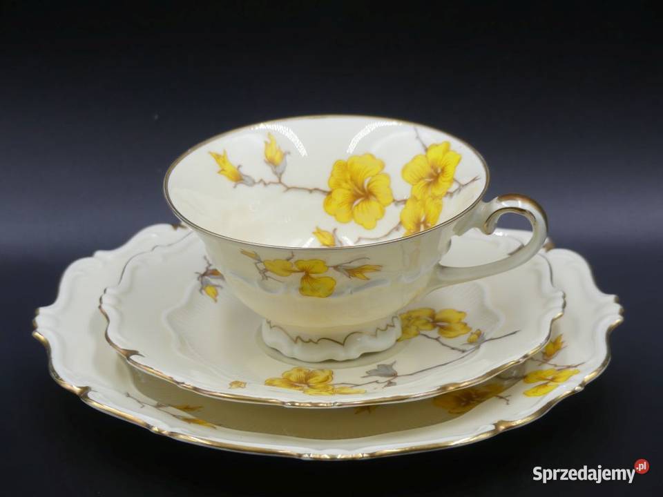 Komplet śniadaniowy Sorau Żary Forsycja stan Poznań