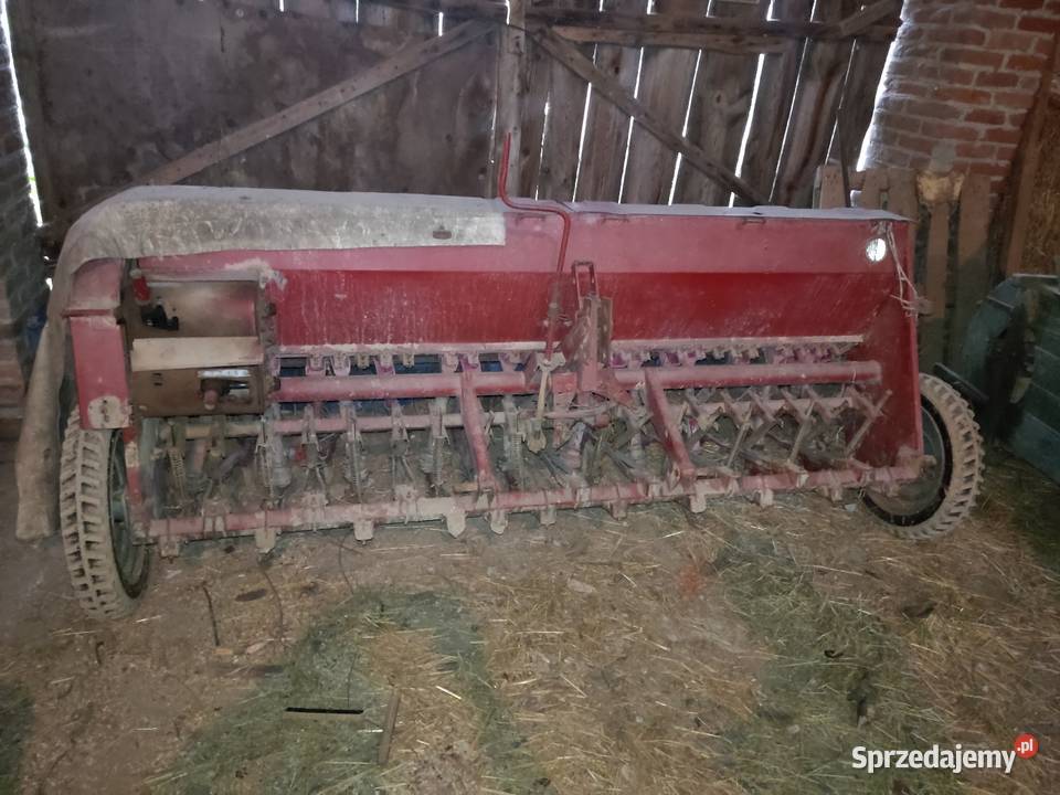 Siewnik poznaniak Brzeziczki
