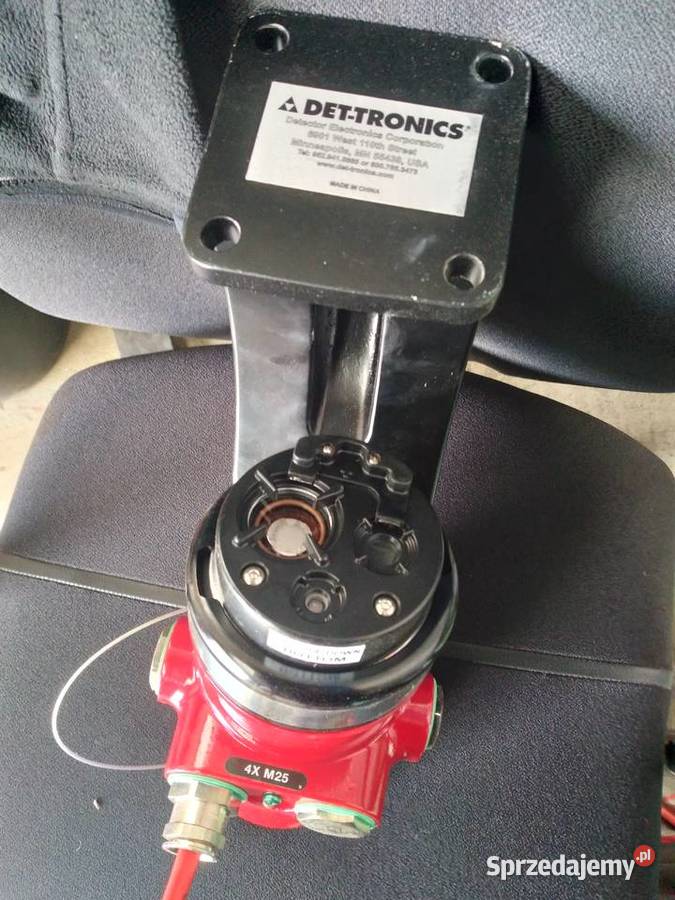 Detektor płomienia DetTronics Przedbórz