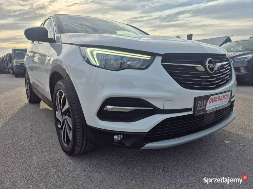 Opel Grandland X 12Turbo 130 Biała Perła autoalarm Gniewkowo