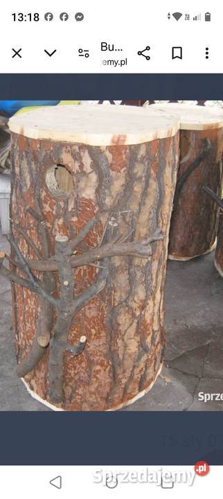 Amazonka budka lęgowa Wodzisław Śląski