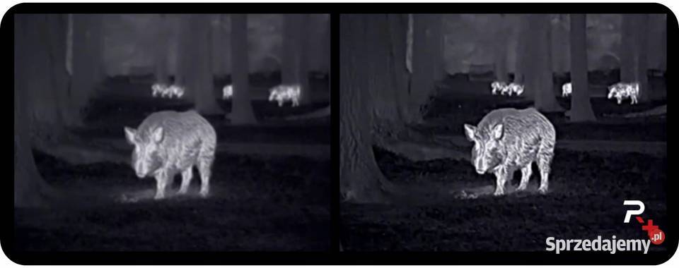 Luneta Termowizyjna Celownik Termowizyjny NOCPIX wielkopolskie sprzedam