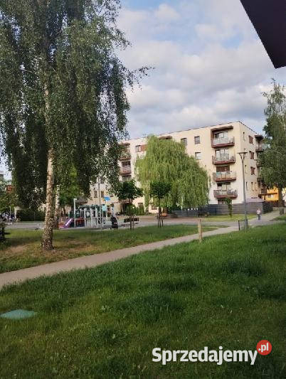 Kawalerka do wynajęcia Aleksandrów Łódzki sprzedam