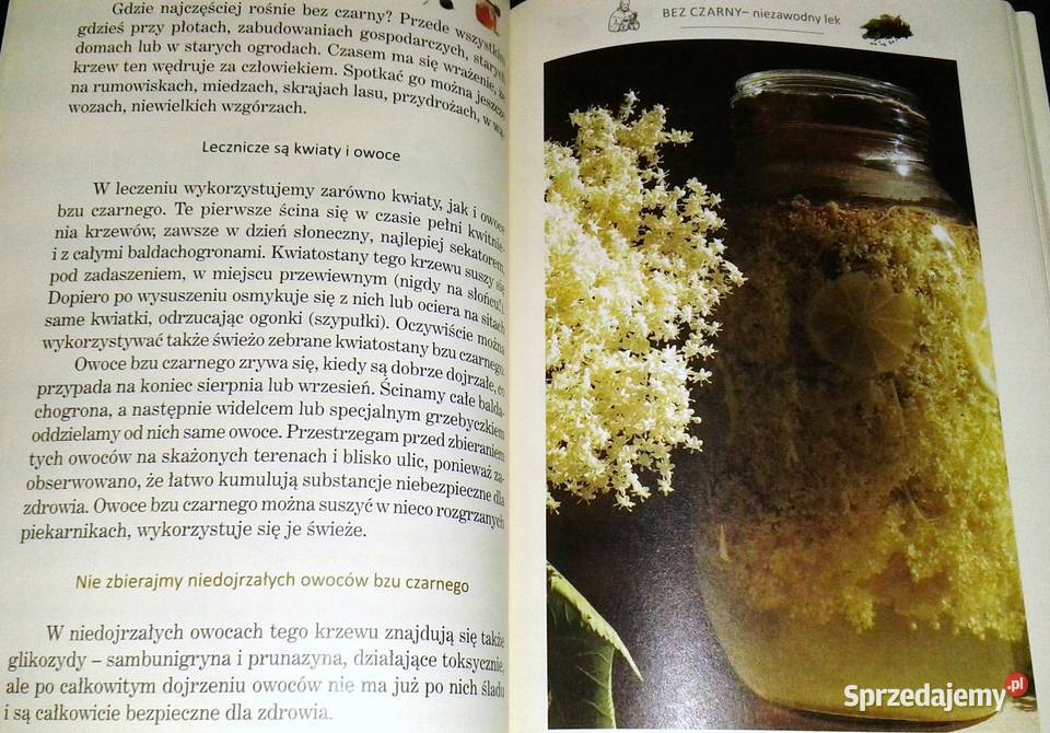 Ziołowa apteczka przeziębionych Zbigniew T Nowak Chełm